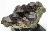 Andradite Garnets on Hedenbergite - Greece #208759-1